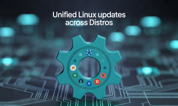 跨发行版美国服务器 Linux 更新管理示意
